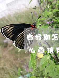有分期怎么查信用卡一共欠多少-有分期怎么查信用卡一共欠多少钱