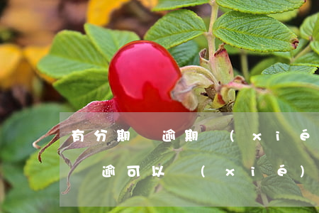 有分期樂逾期協(xié)商成功的嗎 分期樂逾可以協(xié)商晚幾天還嗎