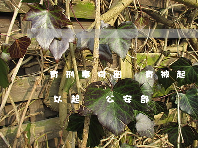 有刑事拘留沒有被起訴(刑事拘留無罪釋放可以起訴公安部門嗎)