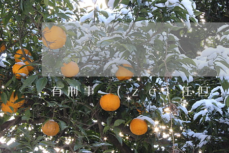 有刑事責(zé)任但沒錢賠償怎么辦