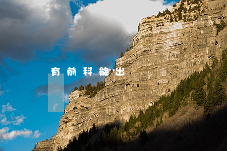 有前科能出國嗎