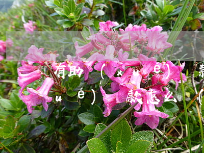 有助學(xué)貸款逾期信用卡(助學(xué)貸款怎么會(huì)逾期)