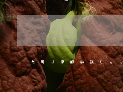 有可以律師事務(wù)所嗎