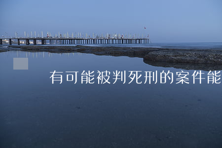 有可能被判死刑的案件能不能做无罪辩护