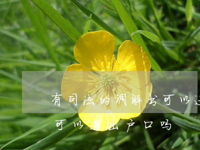 有司法的调解书可以迁户口吗(凭离婚调解书可以迁出户口吗)