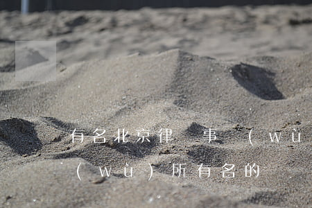 有名北京律師事務(wù)所(北京律師事務(wù)所有名的)