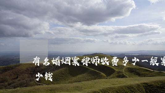 有名婚姻案律师收费多少(一般案件律师费多少钱)