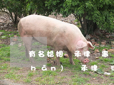 有名婚姻繼承律師事務(wù)所(遺產(chǎn)繼承律師律師)