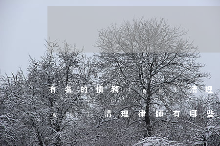 有名的債務(wù)清理律師(有名的債務(wù)清理律師有哪些)