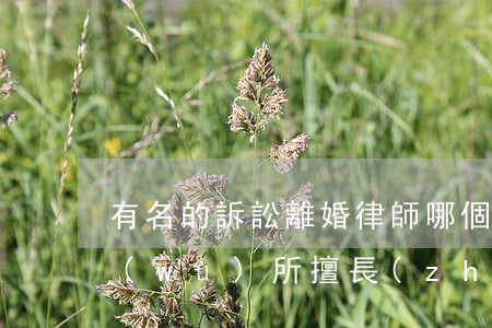 有名的訴訟離婚律師(哪個(gè)律師事務(wù)所擅長(zhǎng)離婚官司)