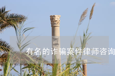 有名的诈骗案件律师(咨询诈骗案的律师)