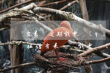 有呆賬逾期能申請(qǐng)信用卡嗎-征信有呆賬還能申請(qǐng)信用卡么