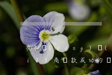 有和農(nóng)業(yè)銀行協(xié)商還款成功的嗎-有和農(nóng)業(yè)銀行協(xié)商還款成功的嗎