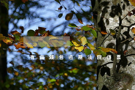 有品錢包逾期法院傳票
