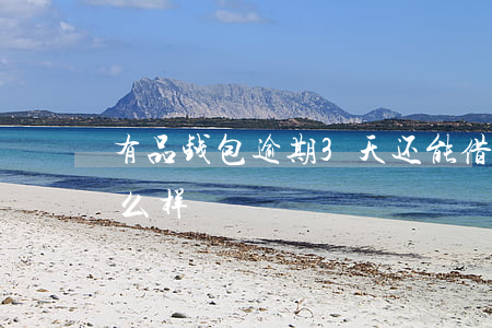 有品钱包逾期3天还能借 借享钱包逾期会怎么样