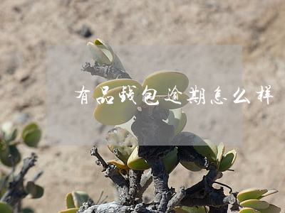 有品钱包逾期怎么样