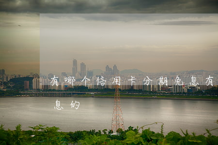 有哪个信用卡分期免息(有哪个信用卡分期免息的)