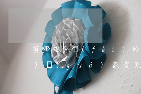 有哪些免費(fèi)的法律網(wǎng)(國(guó)家有免費(fèi)的法律咨詢)