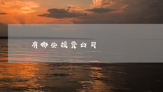 有哪些投资公司