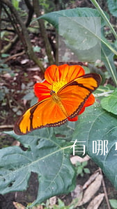 有哪些網貸會起訴的(哪些網貸會起訴借款人)