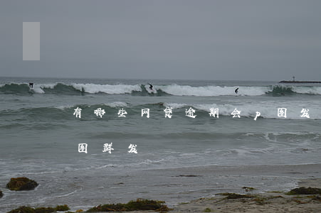 有哪些网贷逾期会p图发(2020年网贷p图群发)