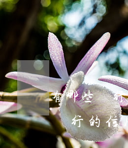 有哪些銀行的信用卡逾期不能分期-有哪些銀行的信用卡逾期不能分期還款