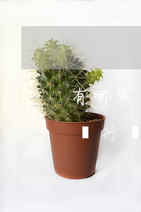 有哪家銀行沒逾期就可以談分期的-有哪家銀行沒逾期就可以談分期的