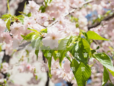 有唄逾期還款會(huì)怎么樣(借唄逾期了有什么影響沒?)