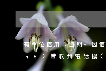 有單位信用卡逾期-因信用卡逾期經(jīng)常收到電話協(xié)商
