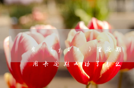 有嚴(yán)重逾期記錄如何辦信用卡（信用卡逾期成功了怎么辦）
