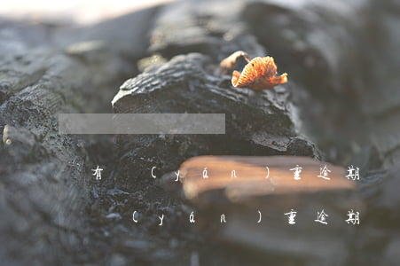 有嚴(yán)重逾期辦不了信用卡嗎-有嚴(yán)重逾期辦不了信用卡嗎怎么辦