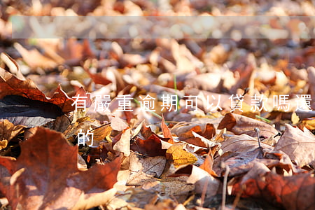 有嚴重逾期可以貸款嗎(還在逾期中可以貸款的)