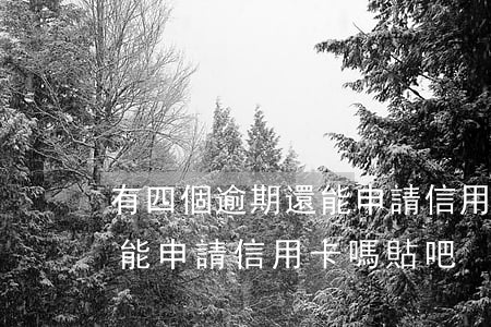 有四個逾期還能申請信用卡嗎(有四個逾期還能申請信用卡嗎貼吧)