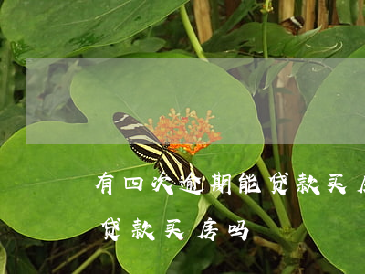 有四次逾期能贷款买房吗(信用卡逾期5次能贷款买房吗)