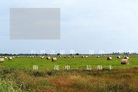 有四次逾期還能申請信用卡嗎貼吧（有四次逾期還能申請信用卡嗎）