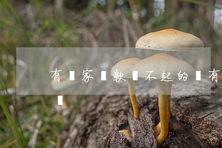 有國家貸款還不起的嗎(有國家貸款還不起的嗎)