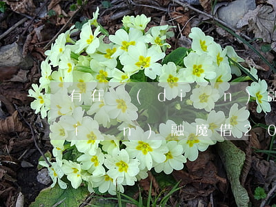 有在點(diǎn)融魔借逾期的嗎(點(diǎn)融魔借2020年還放款嗎)