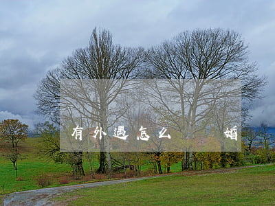 有外遇怎么辦離婚