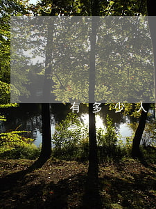 有多少人信用卡逾期也能车贷