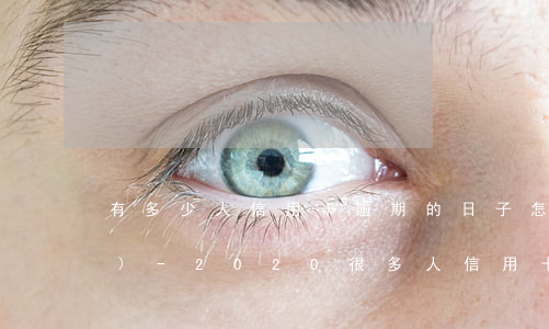 有多少人信用卡逾期的日子怎么過(guò)-2020很多人信用卡逾期