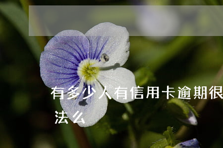 有多少人有信用卡逾期 很多张信用卡逾期犯法么