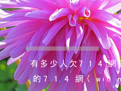 有多少人欠714網(wǎng)貸(被曝光的714網(wǎng)貸平臺)