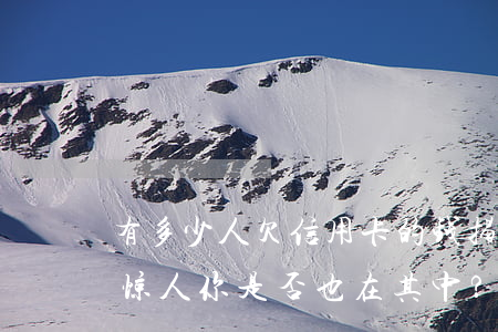有多少人欠信用卡的钱，揭秘：信用卡欠款人数惊人，你是否也在其中？