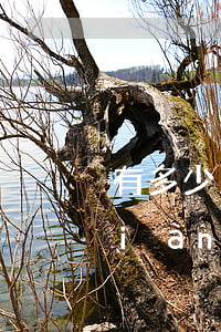 有多少人欠信用卡網(wǎng)貸(現(xiàn)在有多少人欠信用卡錢還不起的)