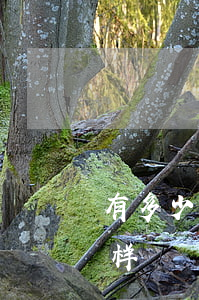 有多少人欠微粒贷没还(微粒贷欠款不还会怎样)