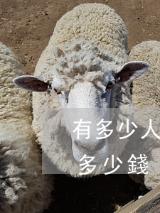 有多少人欠拍拍貸多少錢(有多少人欠拍拍貸多少錢)