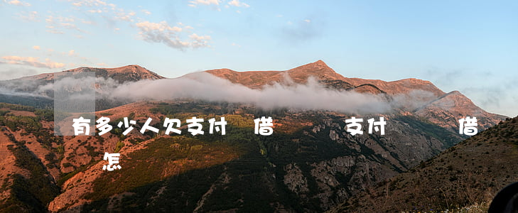 有多少人欠支付寶借唄沒還(支付寶沒還借唄會怎樣)