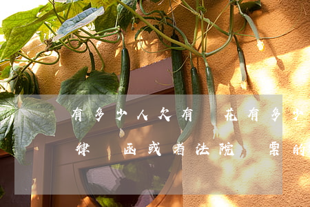 有多少人欠有錢花(有多少人欠有錢花收到了律師函或者法院傳票的是真的嗎)