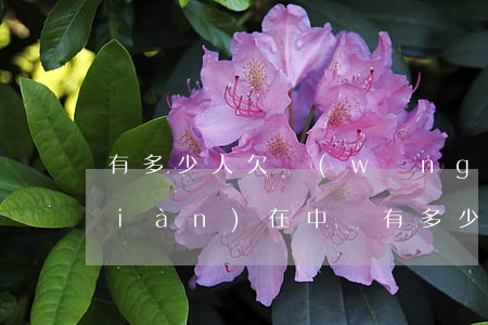 有多少人欠網(wǎng)商貸不還(現(xiàn)在中國有多少人不還網(wǎng)商貸的)