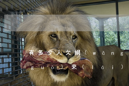 有多少人欠網(wǎng)貸都是怎么過(guò)來(lái)的-那些欠網(wǎng)貸的人都怎么樣了